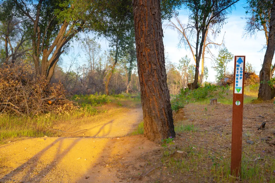 Coast and Forest Loop photo 6